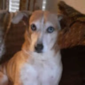 Meet your Posher, Tabitha